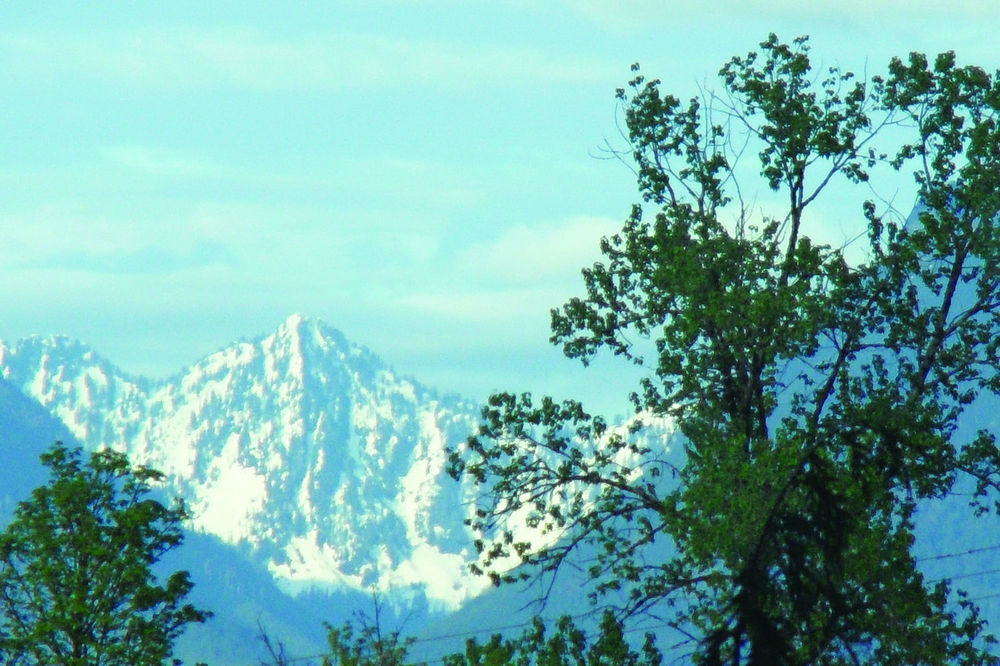 Thunderbird Rv & Camping Resort Monroe Εξωτερικό φωτογραφία